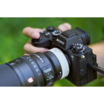 Sony FE 100 mm f/2.8 Macro G Master OSS – Image 4