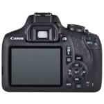 Canon EOS 2000D + Canon 18–55 mm f/3,5–5,6 DC III – Image 6