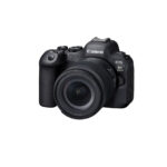 Canon EOS R6 Mark II + RF 24-105 mm f/4,0-7,1 IS STM – Image 4