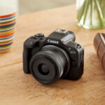 Canon EOS R100 + Canon RF-S 18-45mm f/4.5-6.3 IS STM – Image 11