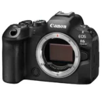 Canon EOS R6 Mark III + RF 24-105 mm F/4-7,1 IS STM – Image 4