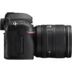Nikon D780 + Nikon AF-S 24-120 mm f/4.0G ED VR – Image 8