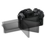 Nikon Z 50II + NIKKOR Z DX 18-140 mm f/3.5-6.3 VR – Image 7
