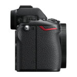 Nikon Z 50II + NIKKOR Z DX 16-50 mm f/3.5-6.3 VR – Image 10