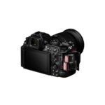 Nikon Z 5II + NIKKOR Z 24-200 mm f/4-6.3 VR – Image 6