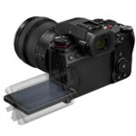 Panasonic Lumix DC-S5 II + Lumix S 50 mm F/1.8 – Image 5
