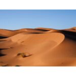 Panasonic Lumix DC-G97 + Panasonic Lumix G Vario 14-140mm f/3.5-5.6 Power OIS WR – Image 13