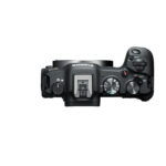 Canon EOS R8 + RF 24–105mm f/4–7.1 IS STM – Image 5