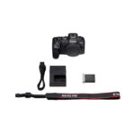 Canon EOS R8 + RF 24–105mm f/4–7.1 IS STM – Image 9